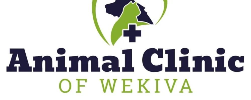 Animal Clinic Of Wekiva