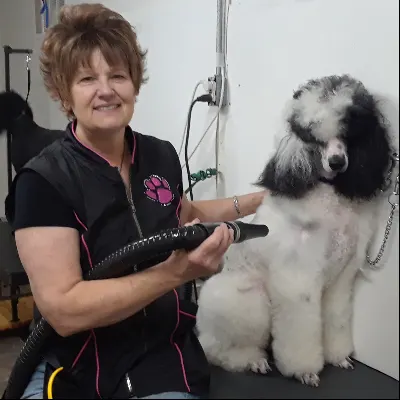 Laura's Laundramutt Grooming LLC
