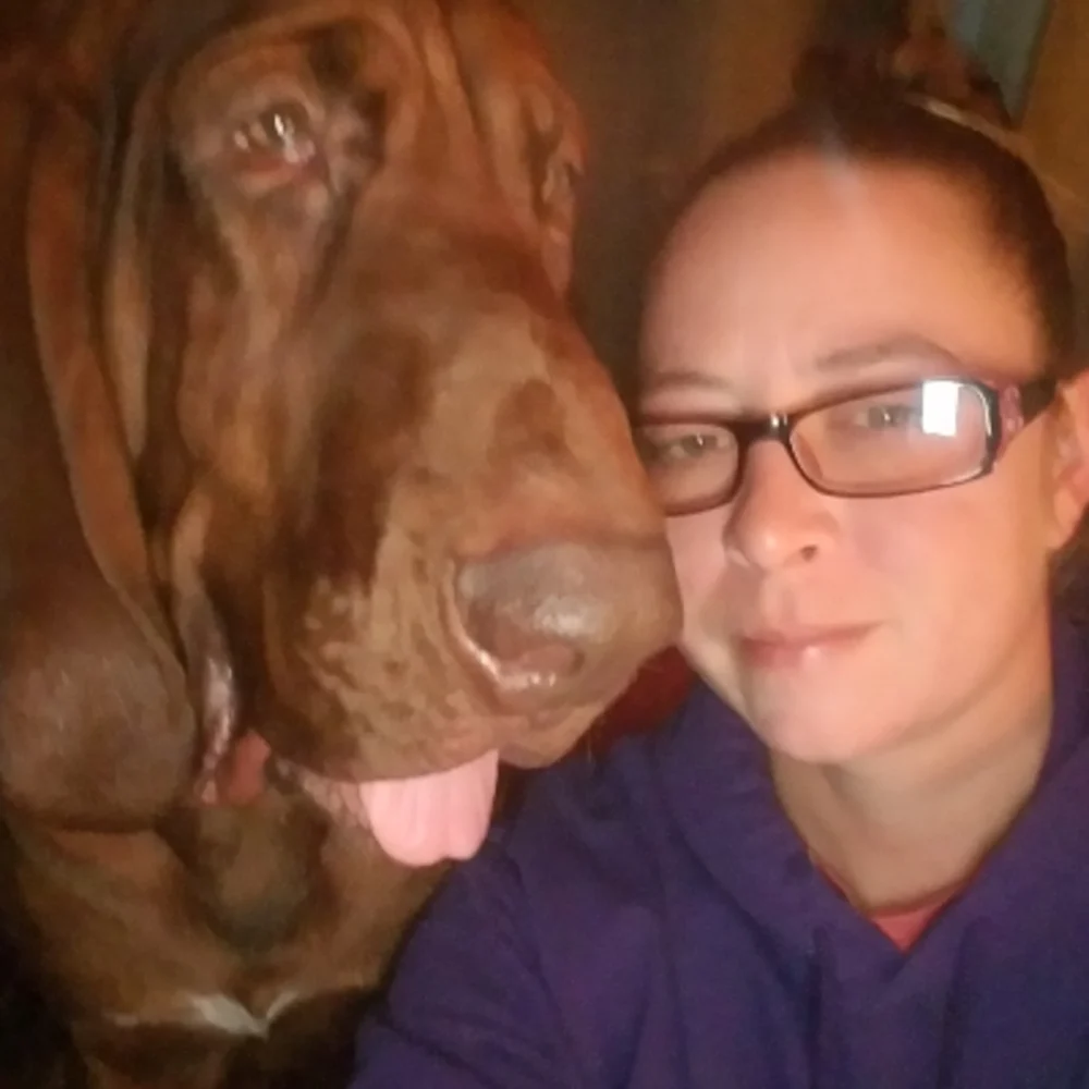 Honeysuckle Hounds