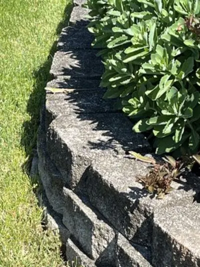 City & Suburbs Pest Control Company