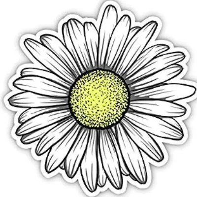 Daisy Bookkeeping LLC