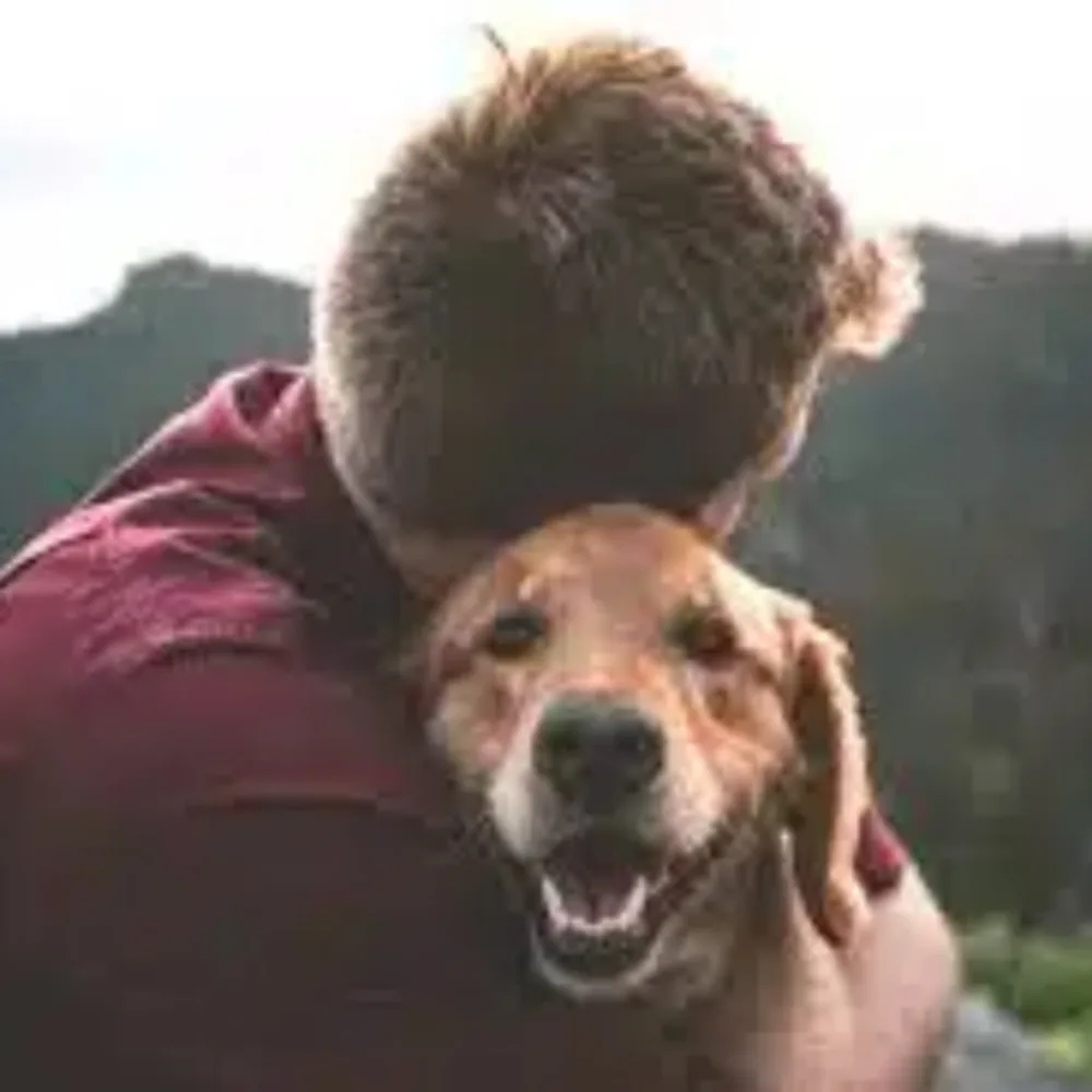 Love Your Pet!