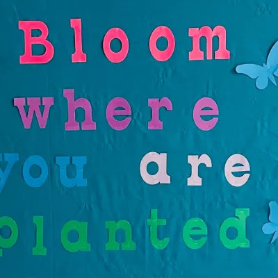 Bloom Where You Are Planted