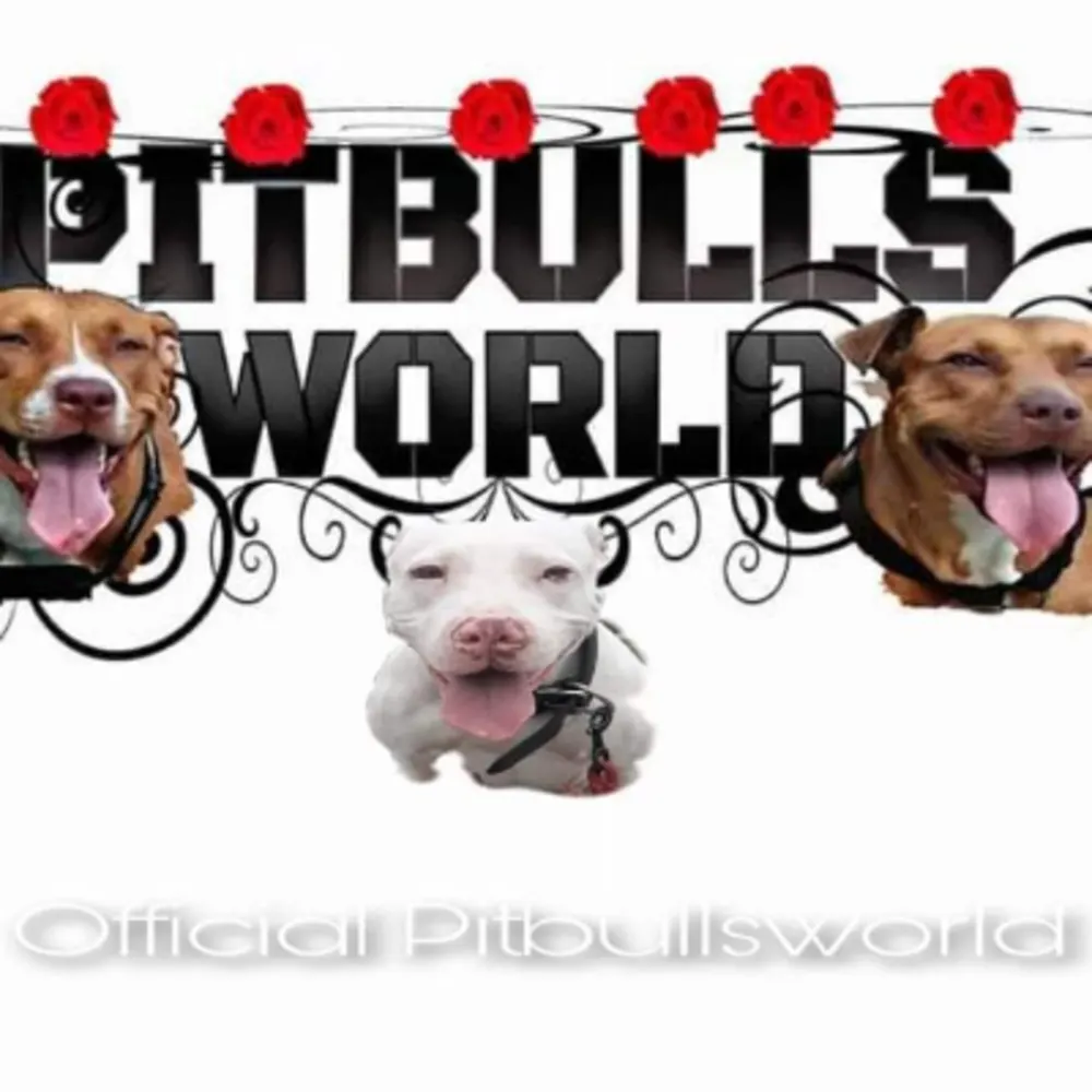 PitBullsWorldPBW