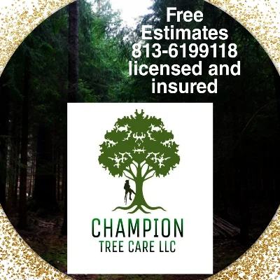 Champion Tree Care LLC