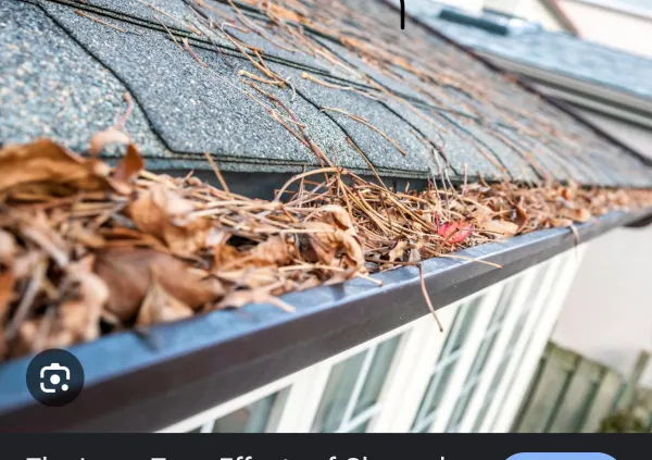 If your gutter look like this give us a call!