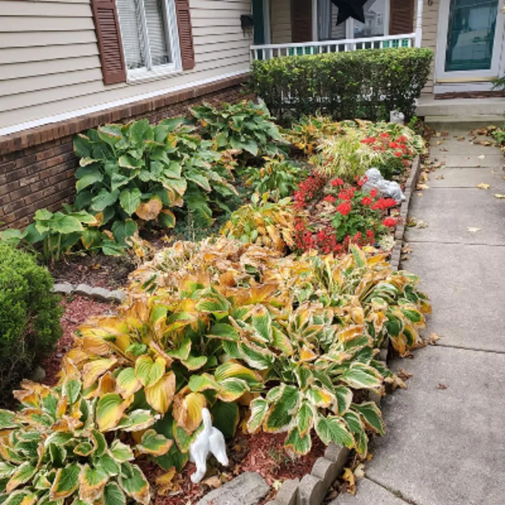Green Lake Landscaping