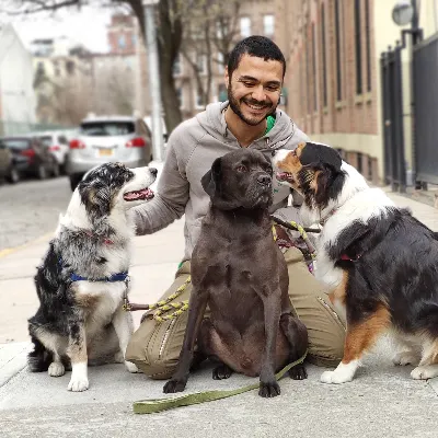 Woofs And Wags
