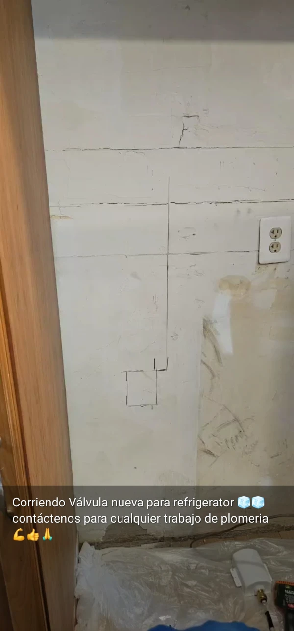 Ice maker