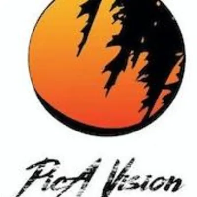Picavision