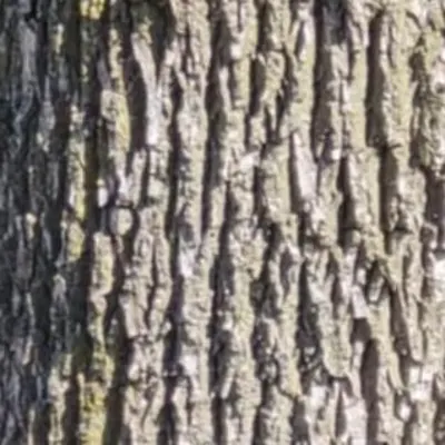 Tc's Trimming And Construction 