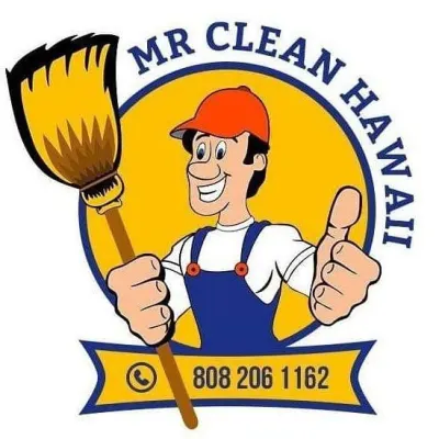 Mr Clean Hawaii