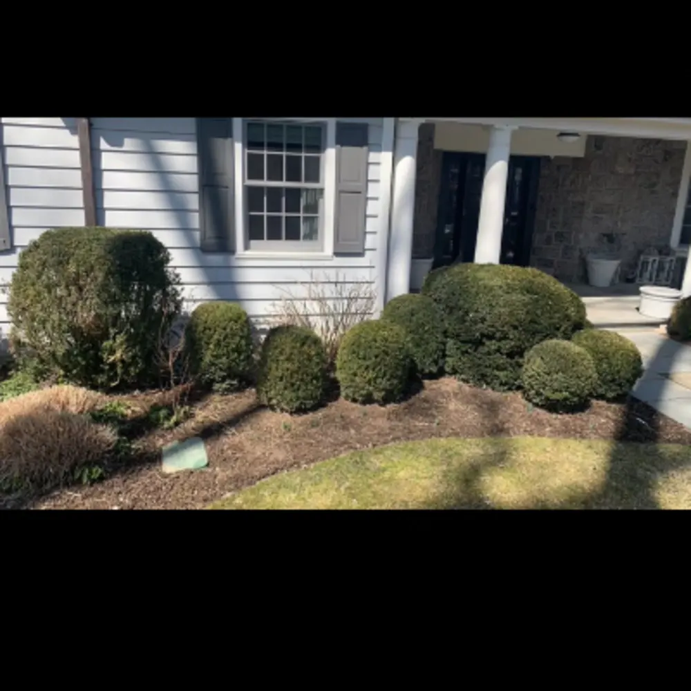 Joel Castillo Landscaping