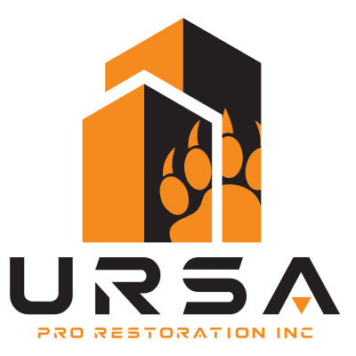 Ursa Pro Restoration 