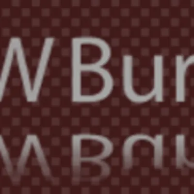 James W Burroughs CPA PC