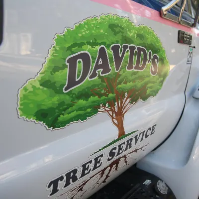 David's Tree Services