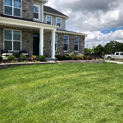 Kaylee Landscaping Hedge