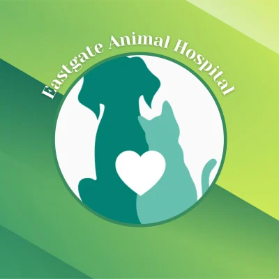 Eastgate Animal Hospital