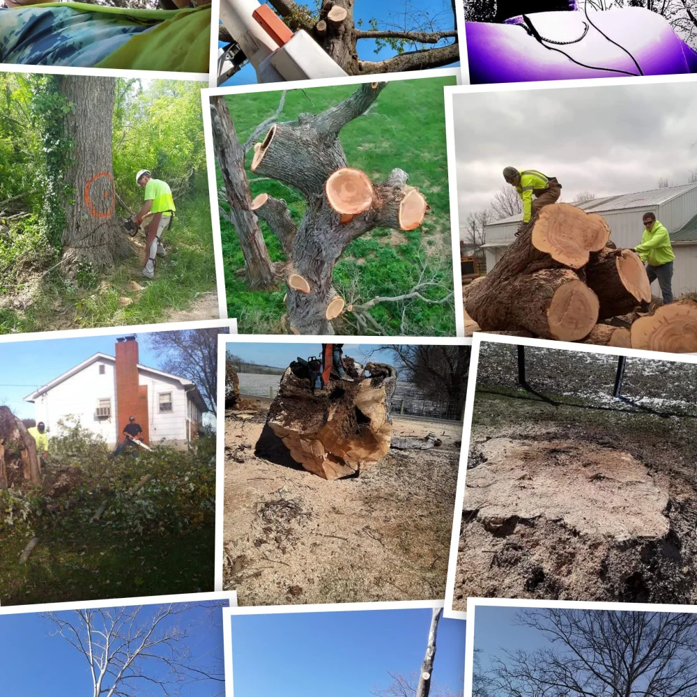 D&C TreeCare LLC