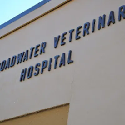 Broadwater Veterinary Hospital