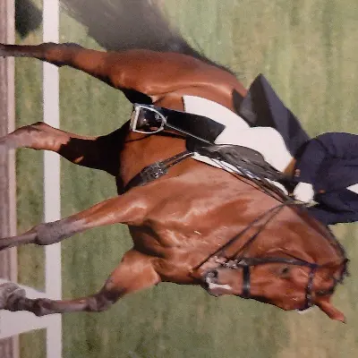 Canter Lane Dressage