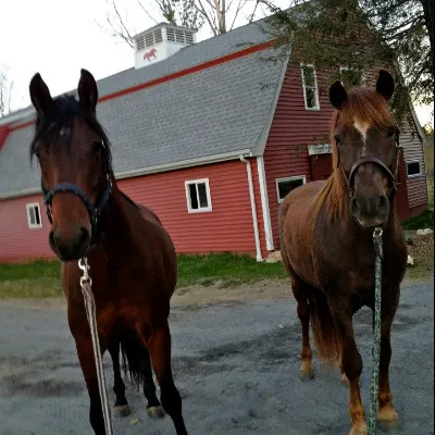 Beland Stables Inc
