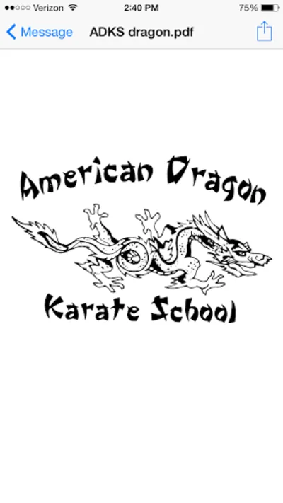 American Dragon Karate School