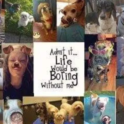 Love At First Lick Animal Care & Grooming
