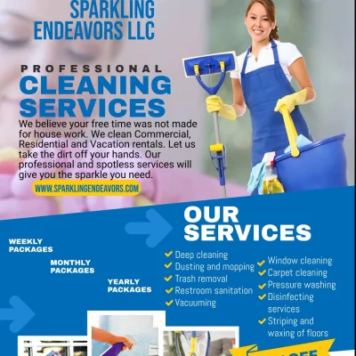 Sparkling Endeavors LLC