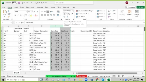 MS Excel tutoring on Zoom