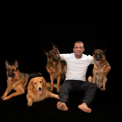 DInstict Dog Training