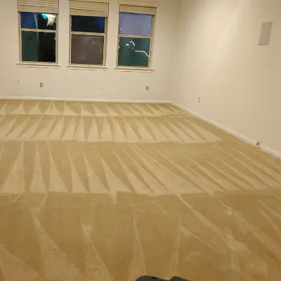 Mr. Leak Carpet Cleaning