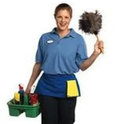 Feather Duster Cleaning Services