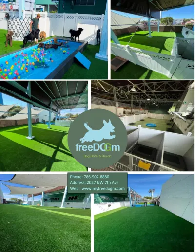 FreeDOGm