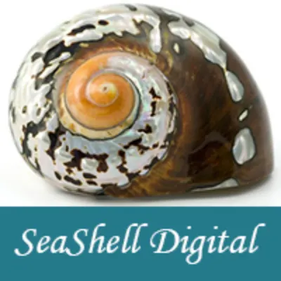 SeaShell Digital