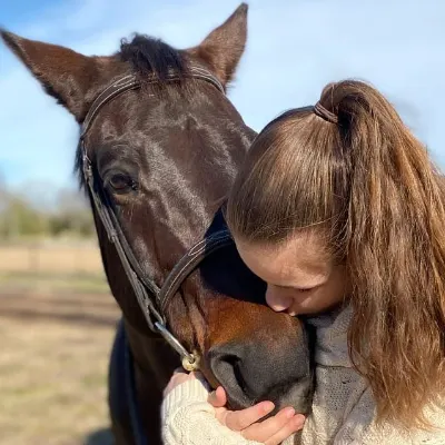 Morgan Equine