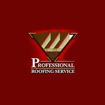 Professional Roofing Service