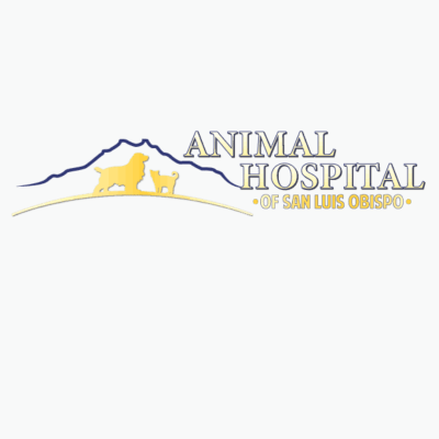 Animal Hospital Of San Luis Obispo