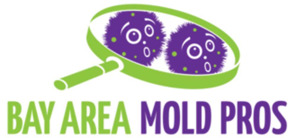 Bay Area Mold Pros