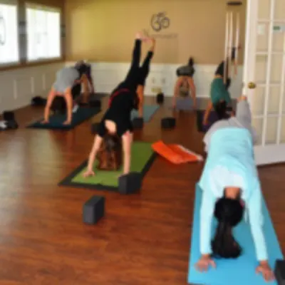 Seeking Solace Yoga