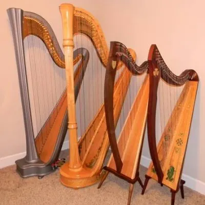 Kathleen Bani Harp Lessons