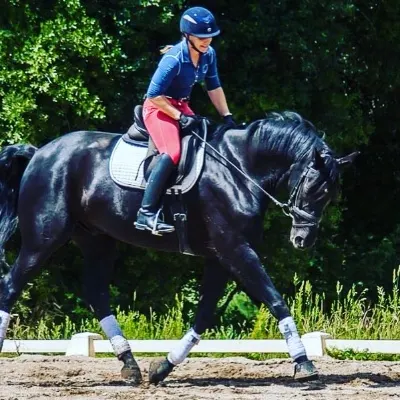 Ana Gilmour Dressage