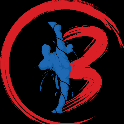 Budokai Martial Arts