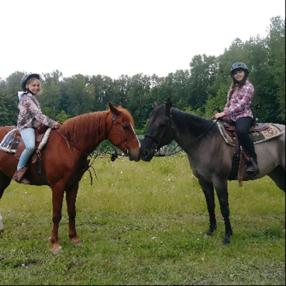 CBR Horse Training