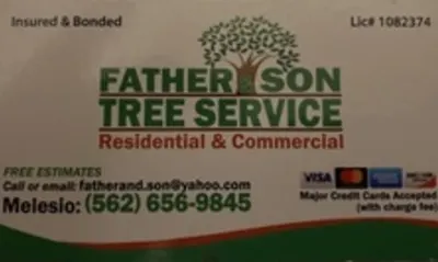 Father & Son Tree Service