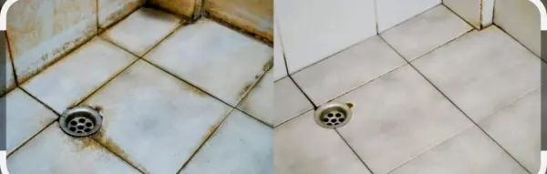 Mold removal