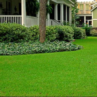 Sergios Lawn Services