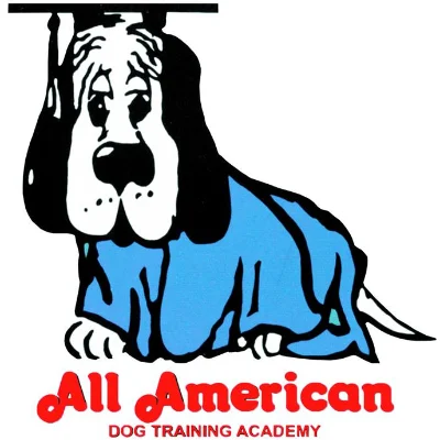 All American Dog Training Academy