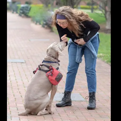 Kindred Animal Positive Training