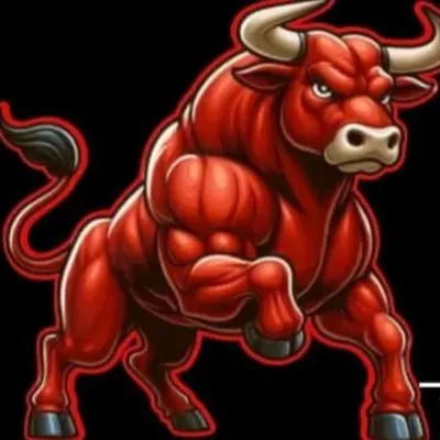 Red Bull Hauling LLC